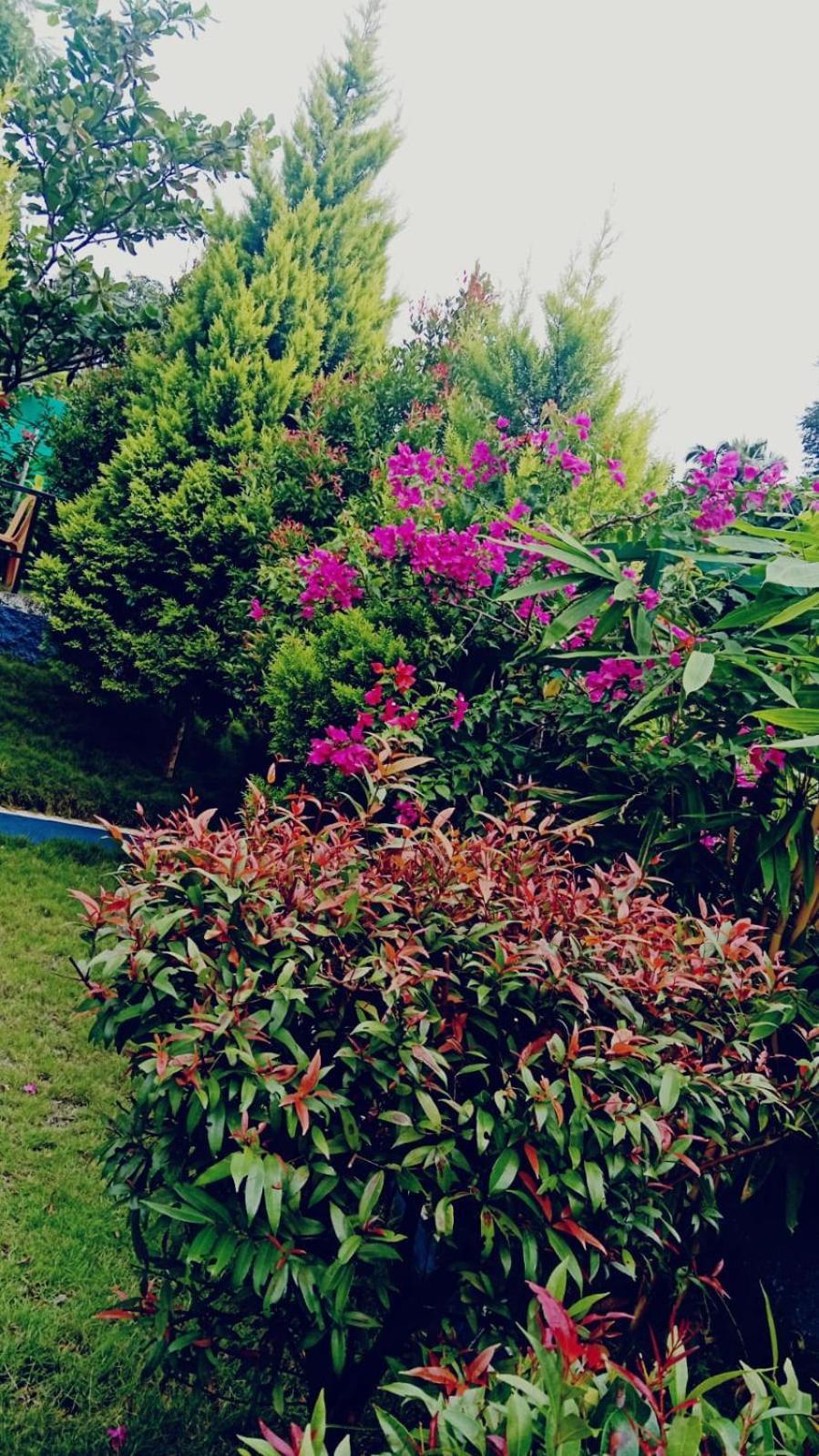 Serene Blossom Valley Tenkasi Luaran gambar